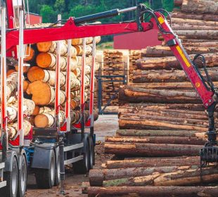 German sawmills’ €800 million timber cartel lawsuit heads back to court