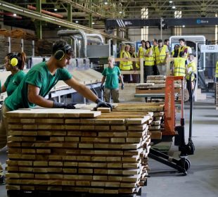 Grupo Gámiz commissions upgraded hardwood sawmill in northern Spain