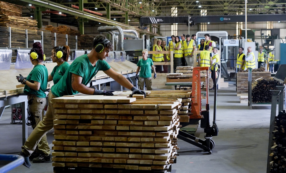 Grupo Gámiz commissions upgraded hardwood sawmill in northern Spain