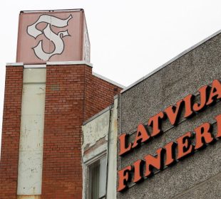 Latvijas Finieris expands Swedish birch log procurement as demand for veneer logs grows