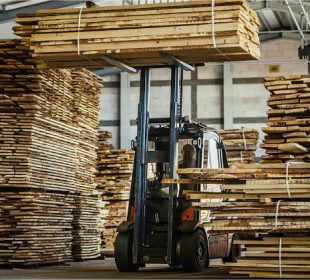Polish sawmills face mounting debt, rising insolvencies as forest policy tightens wood supply