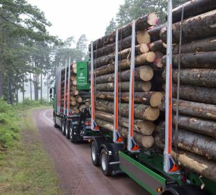 Storm timber lowers Swedish log prices, but compliance becomes more complex