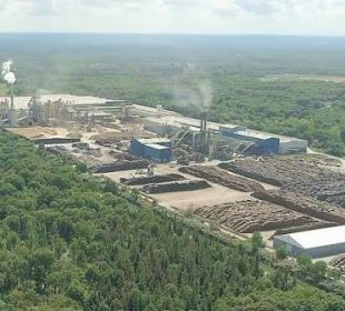 Swiss Krono moves ahead with OSB conversion at French plant