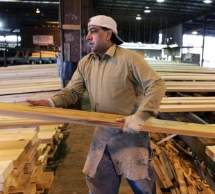 Tariffs, shrinking sawmill capacity and price pressure reshape North American lumber market