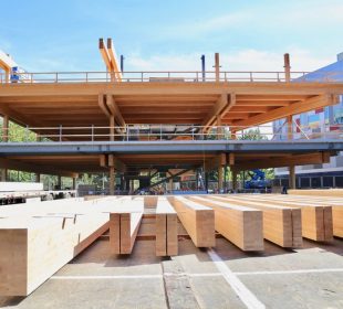 Timber continues to outperform energy-intensive building materials on costs