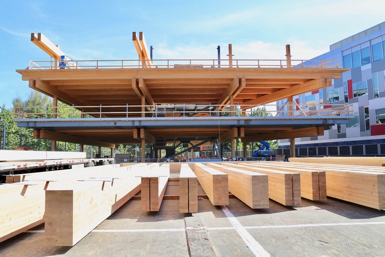 Timber continues to outperform energy-intensive building materials on costs