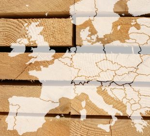 Why Europe’s sawmills can no longer outrun market reality?