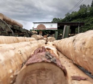Austrian sawmill company prepares for insolvency proceedings