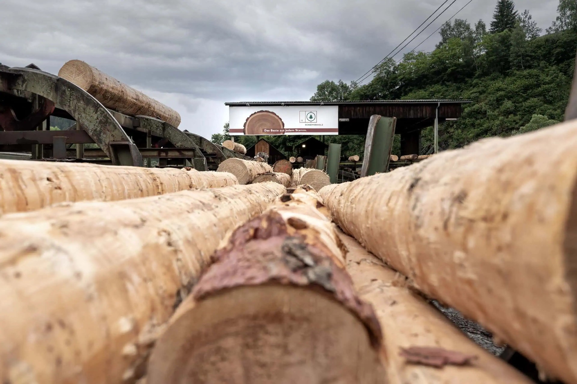 Austrian sawmill company prepares for insolvency proceedings