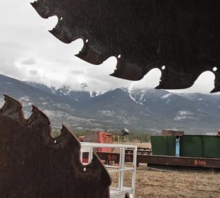 BC sawmill shutdown threat reveals deeper problems in the industry