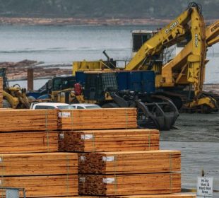 China’s softwood lumber imports fall as demand, costs and supply reshape the market