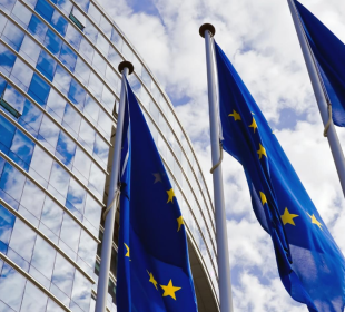 EU packaging rules take effect: What changes for the wood industry?