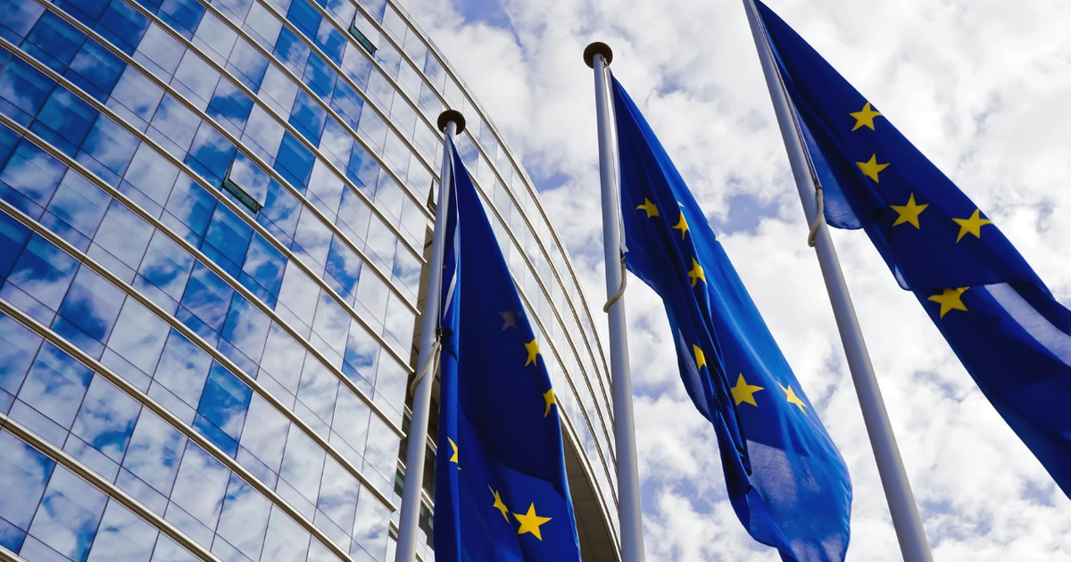 EU packaging rules take effect: What changes for the wood industry?