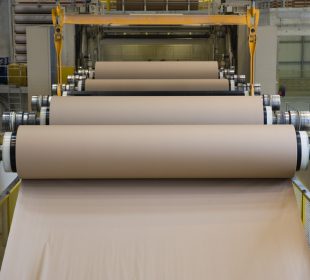 EU raises objections to UPM-Sappi giant joint venture