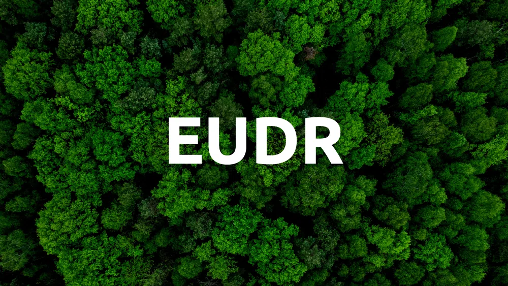 EUDR backlash grows as German timber industry warns of severe sanctions