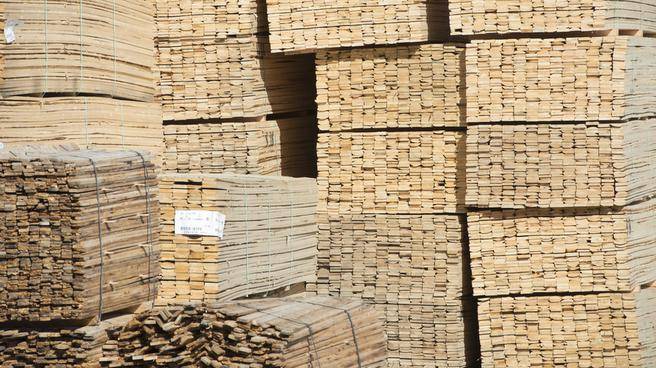 Europe’s softwood lumber prices mask deeper market shifts