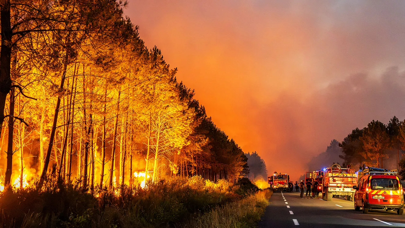 France races to recover up to 7 million m³ of fire-damaged timber