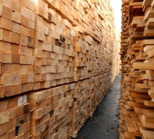 France’s sawmill industry: who is growing and who is losing ground