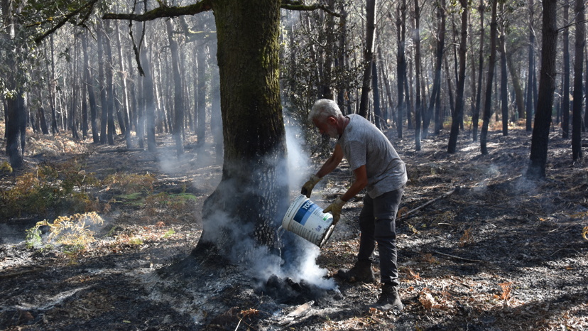 France’s timber industry faces half-billion-euro damage after devastating wildfires