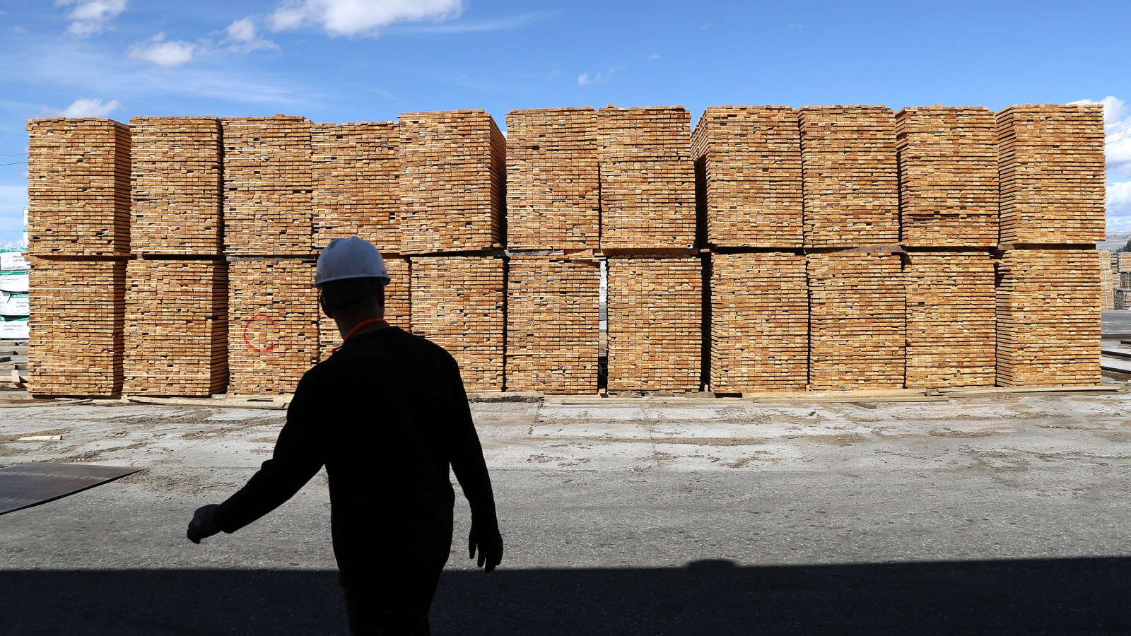 French softwood lumber prices climb despite weak construction