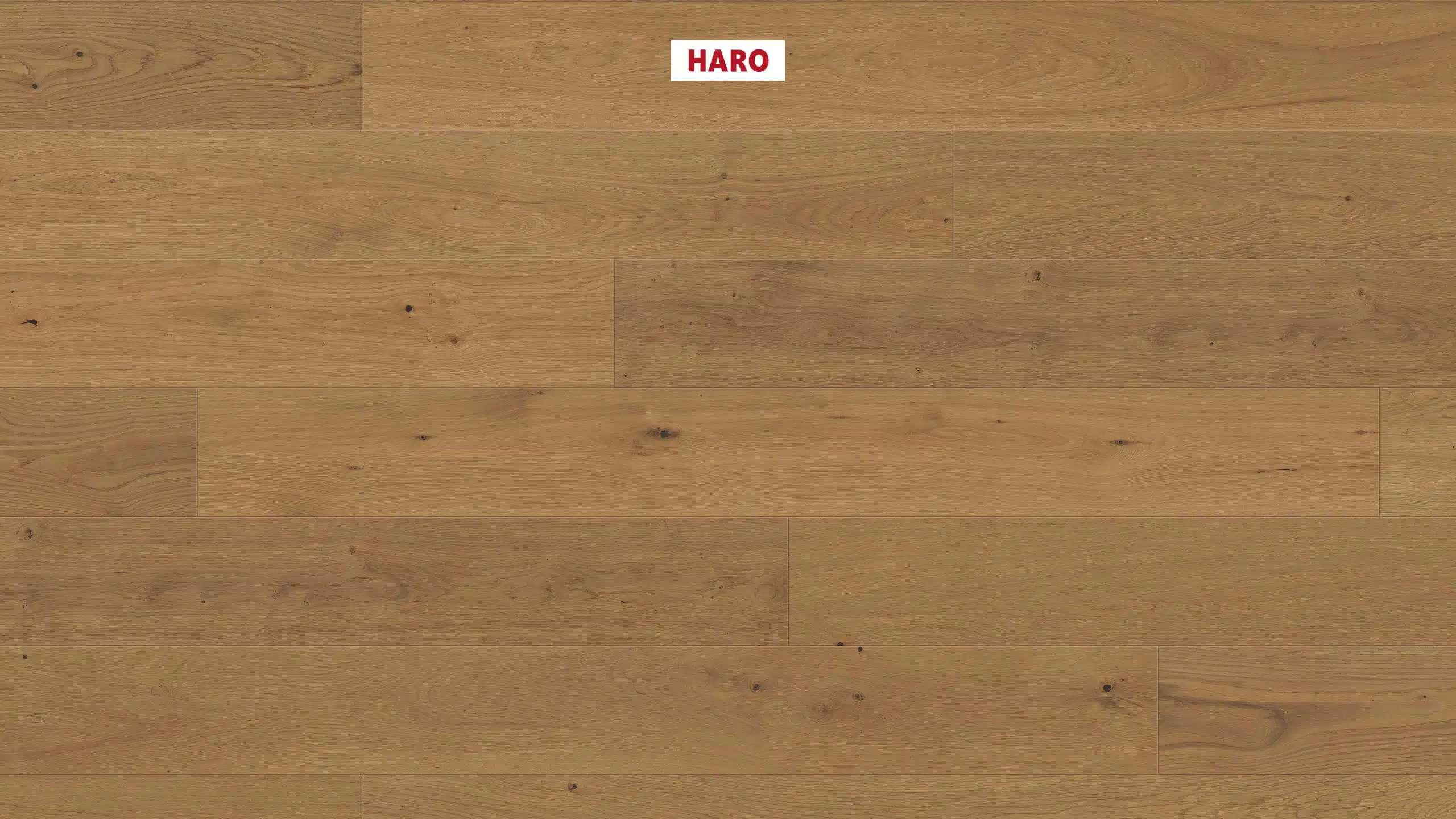 Haro ends laminate production at Stephanskirchen, shifts focus to parquet