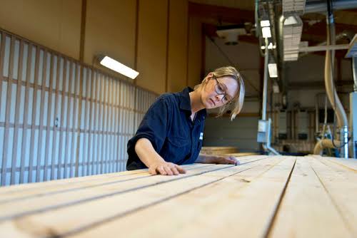 Holmen sawmill losses persist, but easing log costs point to a changing Swedish timber market