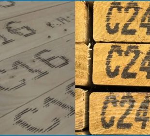 Home-grown C16 or imported C24? The debate reshaping Britain’s timber market