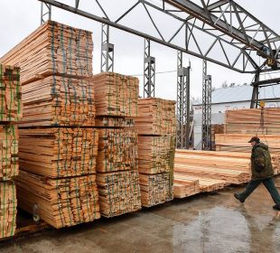 Japan’s softwood lumber imports rebound in June as European shipments rise 38%