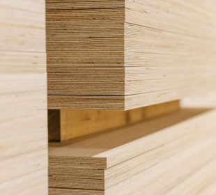 Latvijas Finieris plans €300 million birch plywood investment in eastern Latvia