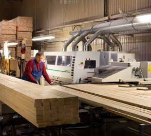 Lithuania emerges as Europe’s new wood industry powerhouse: Top players and major investments