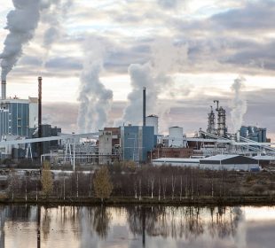 Metsä Fibre prepares six-week shutdown at Kemi bioproduct mill
