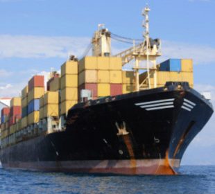 New Zealand log prices recover as lower supply supports China market