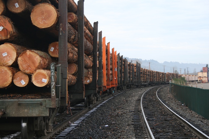Norway’s timber exports hit record levels despite falling prices