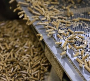Pellet prices climb across Europe as feedstock tightens