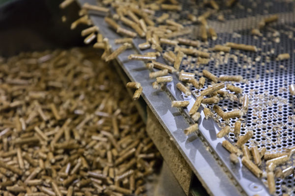 Pellet prices climb across Europe as feedstock tightens
