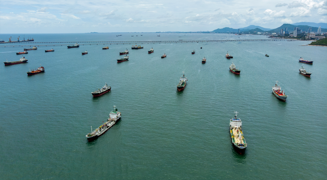 Six months into Hormuz crisis, new trade routes reshape MENA lumber market