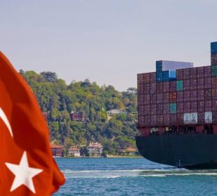 Turkey oak trade: New phytosanitary rules, but no import ban