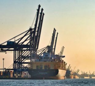 US buyers pull back as tariff uncertainty reshapes Brazil’s wood export market