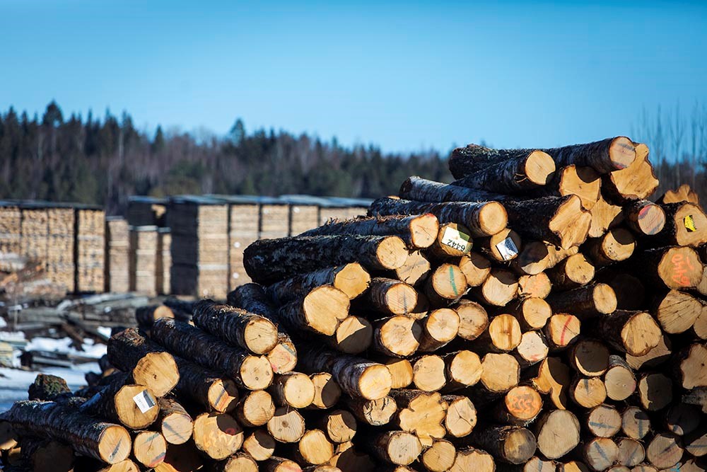 Birch sawmill closes operations – “Even Ikea can’t maintain sales”, says manager