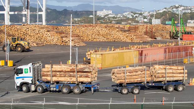 China remains the main buyer, but India is changing New Zealand’s timber exports equation