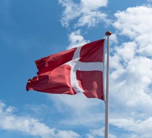 Danish specialist timber merchant to enter bankruptcy