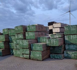 Dutch authorities seize 375 tonnes of Gabon azobé in timber legality investigation