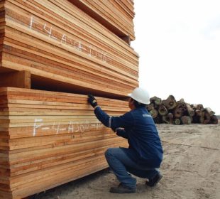 EUDR meets a changing tropical timber market
