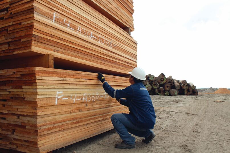 EUDR meets a changing tropical timber market