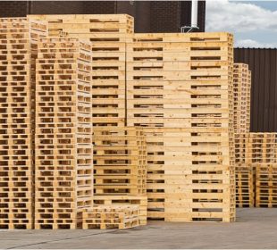 European pallet industry forms new Brussels alliance