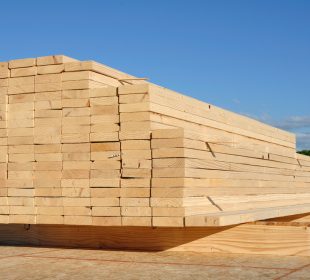 European softwood lumber prices steady as autumn market grows more competitive