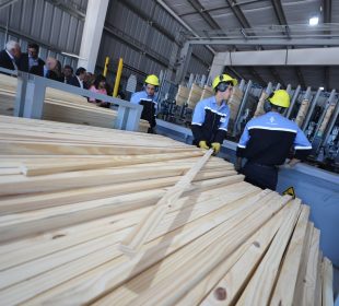 Further HS Timber investment in Argentinian sawmill comes under review