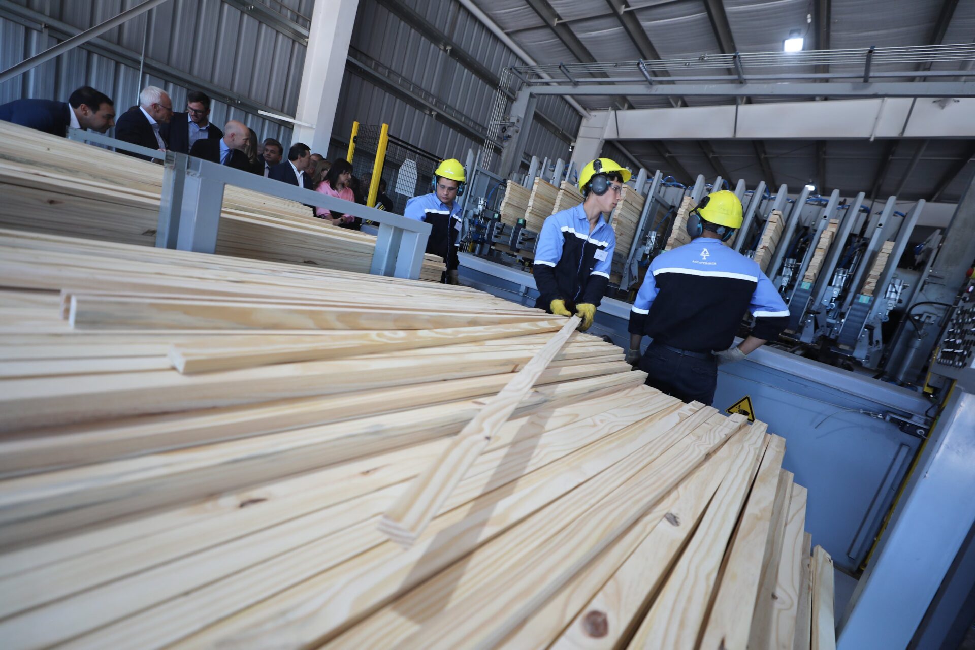 Further HS Timber investment in Argentinian sawmill comes under review