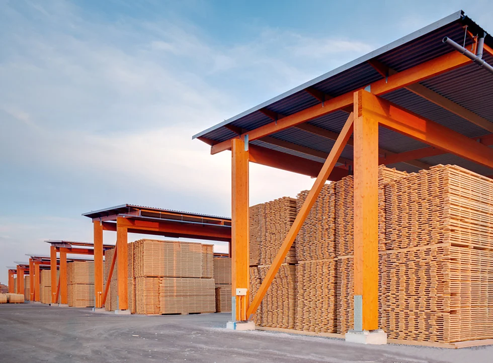 GWMI Forecast: Swedish sawmills face a difficult winter despite falling log prices