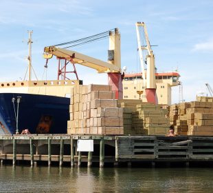 Japan’s softwood lumber imports slump as European supply drops by a third